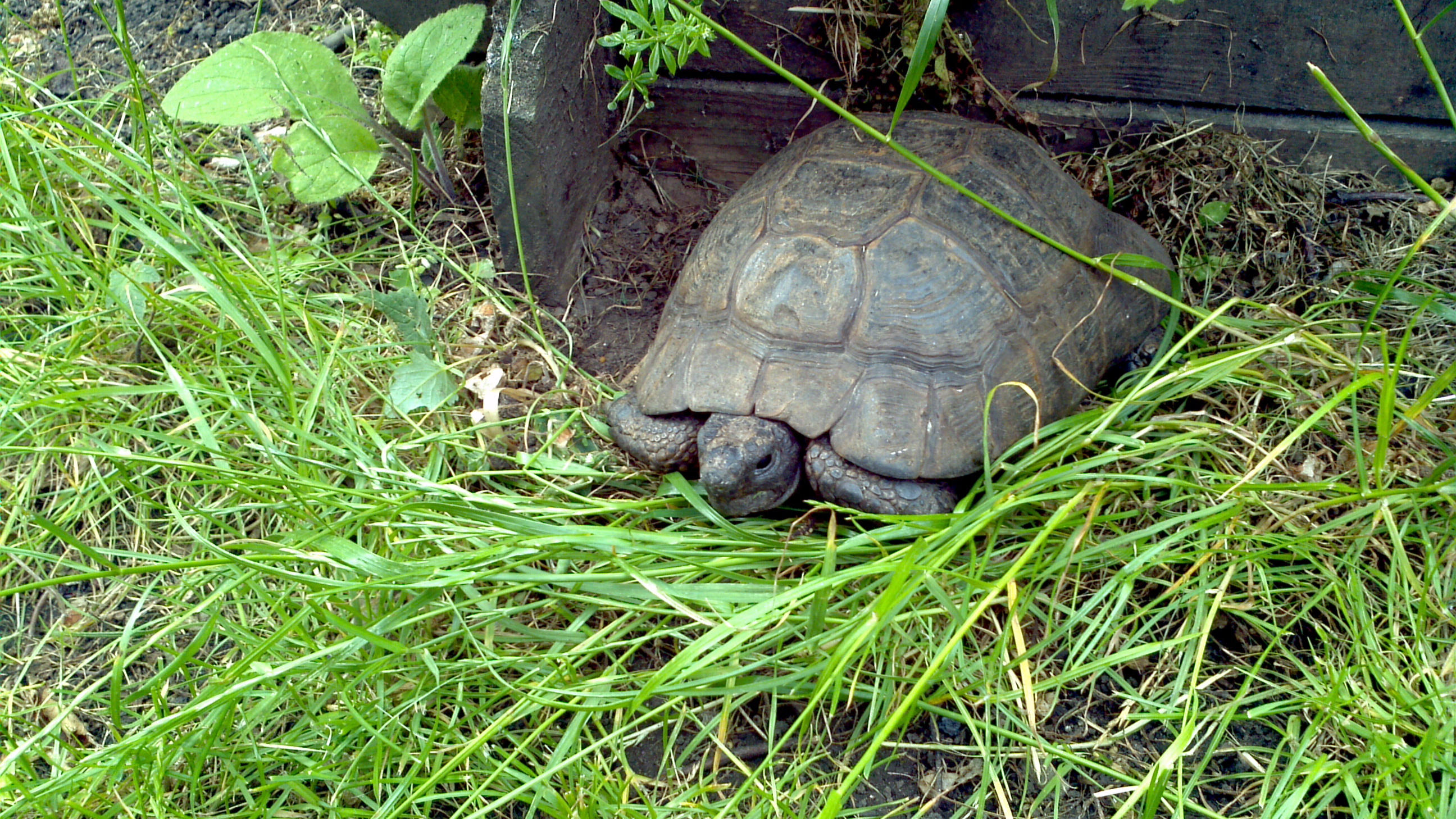 2013-06-16_16-15-56_995